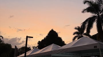 IMG_6304