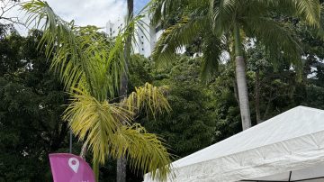 IMG_8156